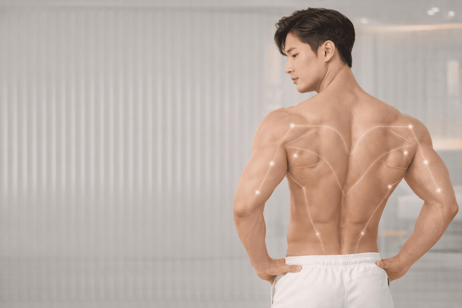 비교 가이드